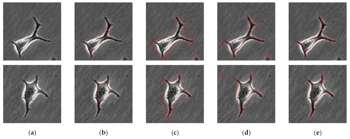Sensors 21 03516 g006