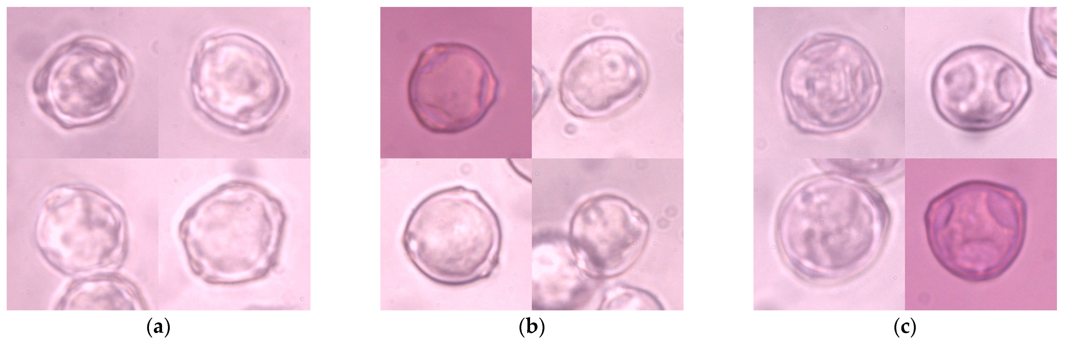 Sensors 21 03526 g001 Sensors 21 03526 g001