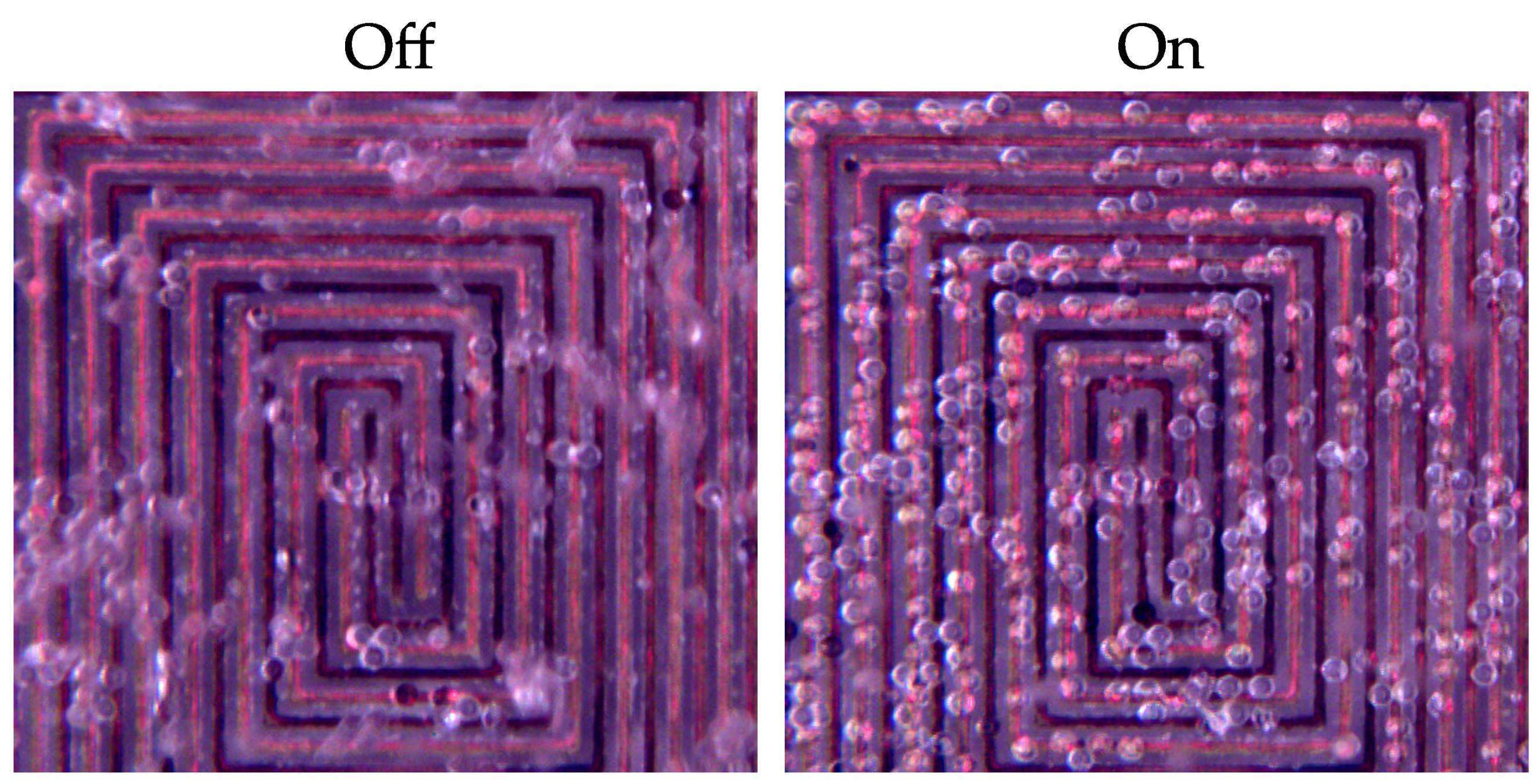 Sensors 21 03532 g017 Sensors 21 03532 g017