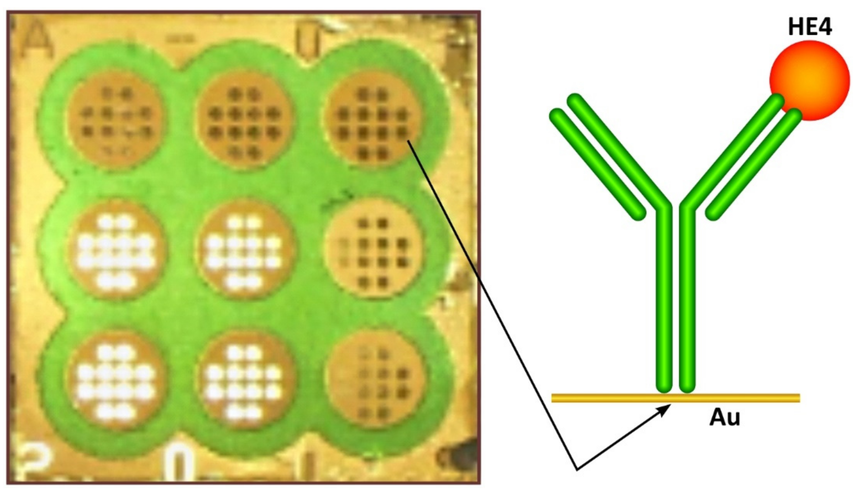 Sensors 21 03567 g001