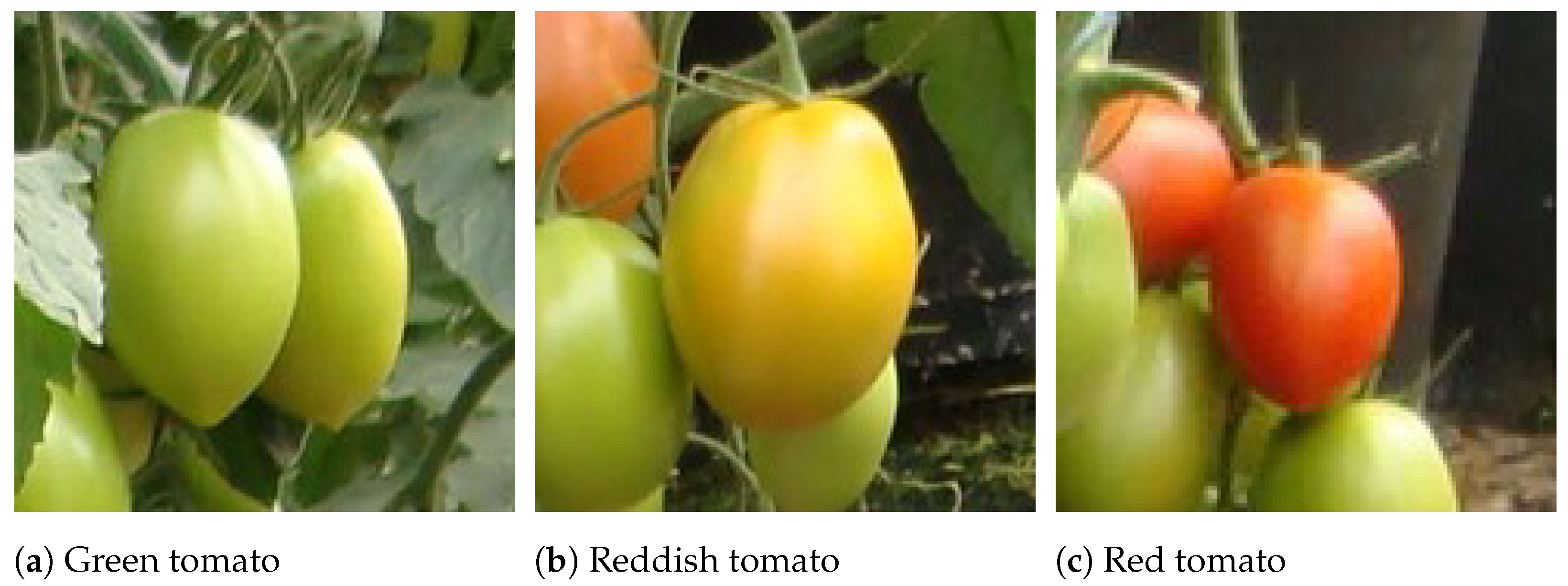 Sensors 21 03569 g001