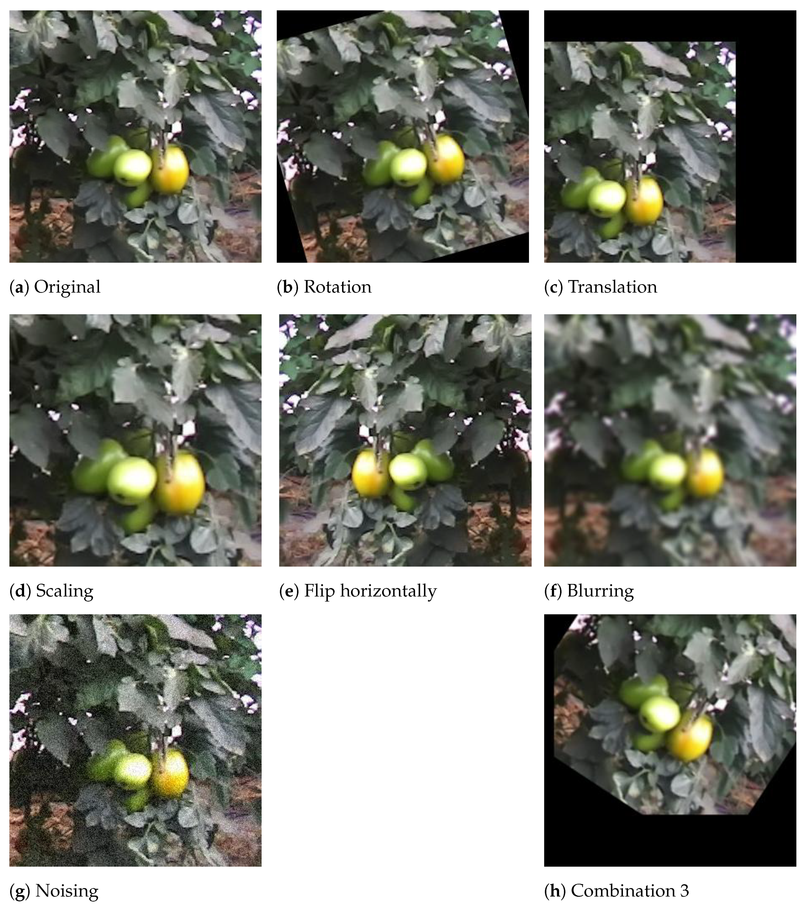 Sensors 21 03569 g008