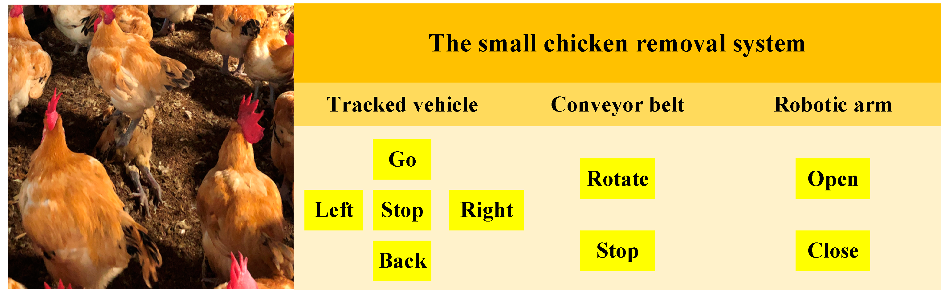 Sensors 21 03579 g007 Sensors 21 03579 g007