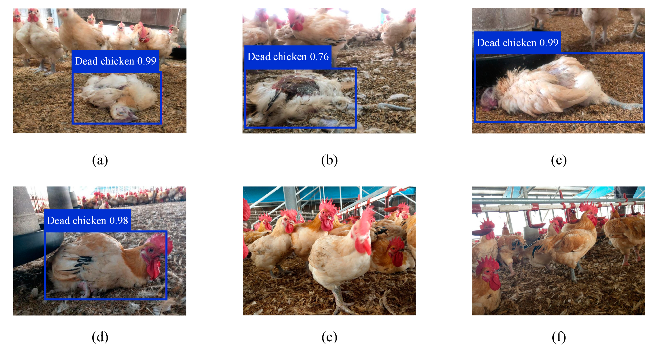 Sensors 21 03579 g010 Sensors 21 03579 g010