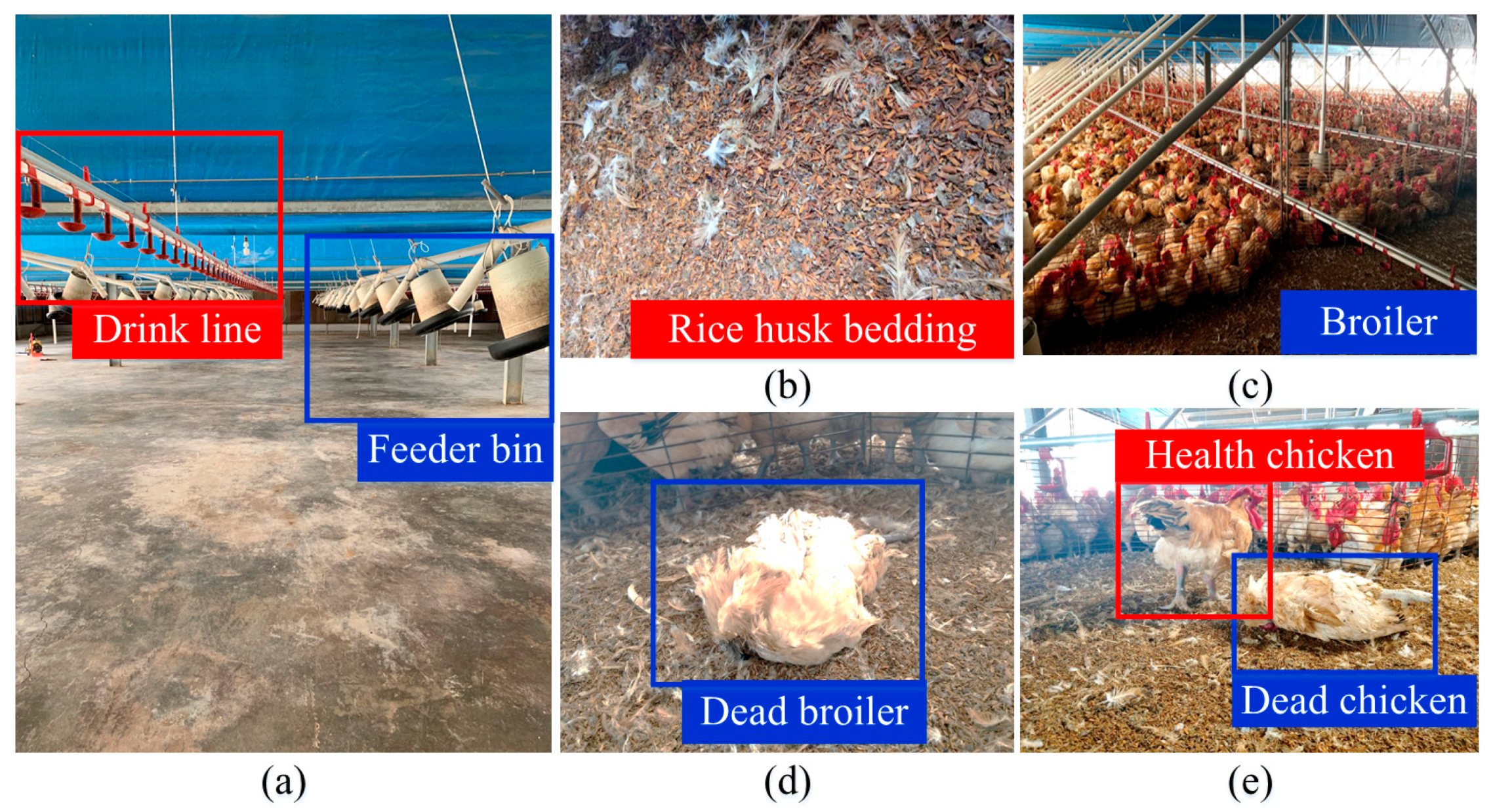 Sensors 21 03579 g011 Sensors 21 03579 g011
