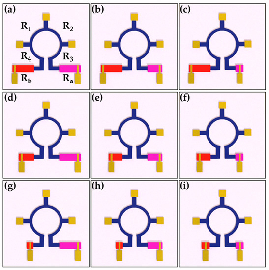 Sensors 21 03585 g0a1