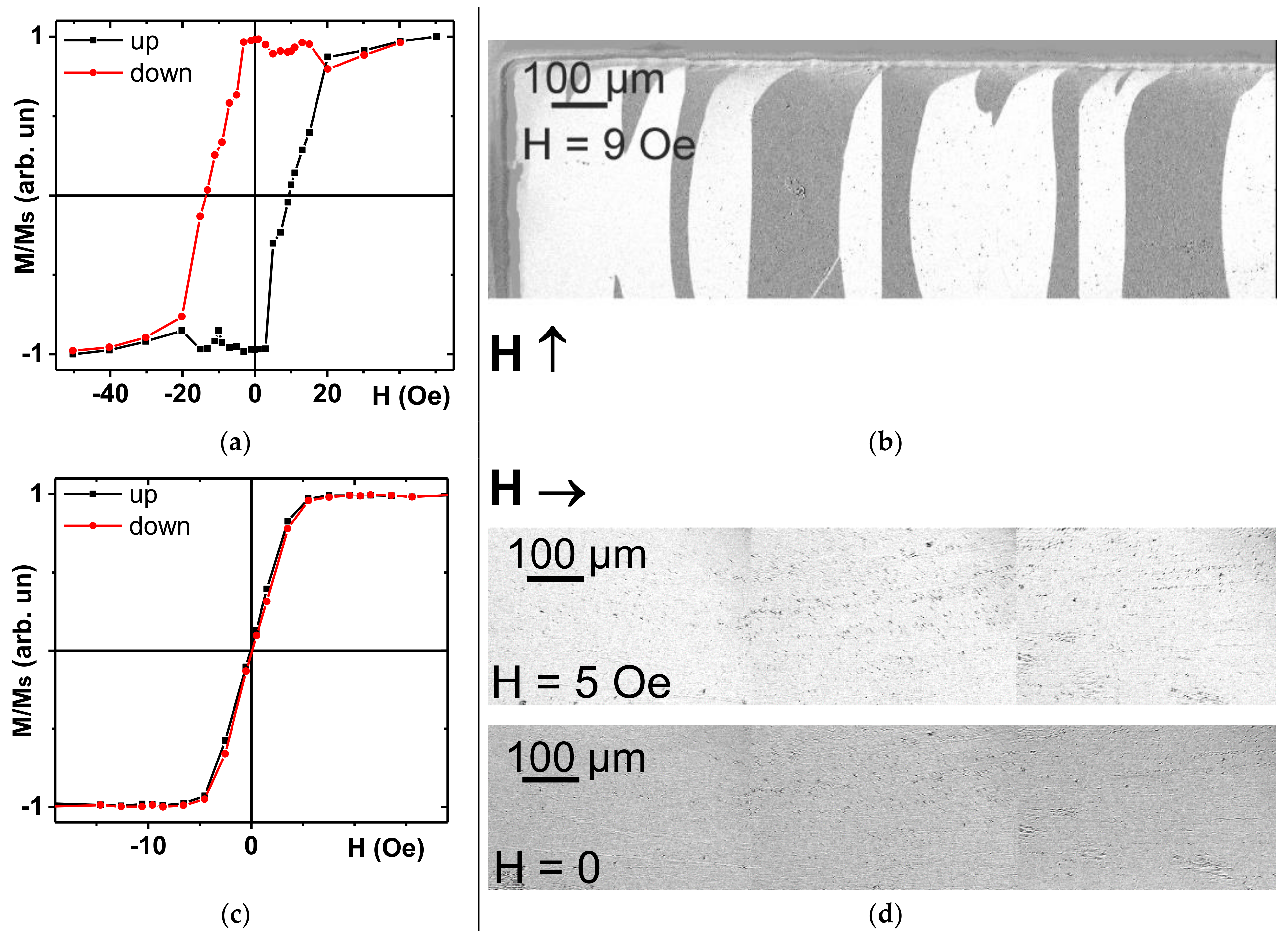 Sensors 21 03621 g003
