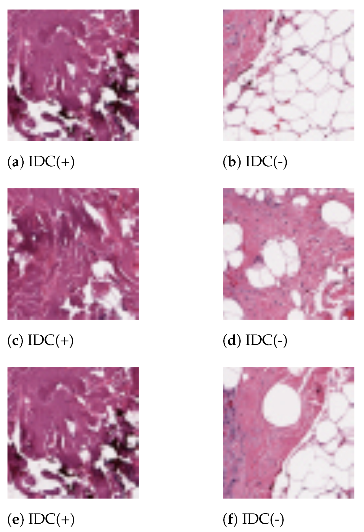 Sensors 21 03628 g003