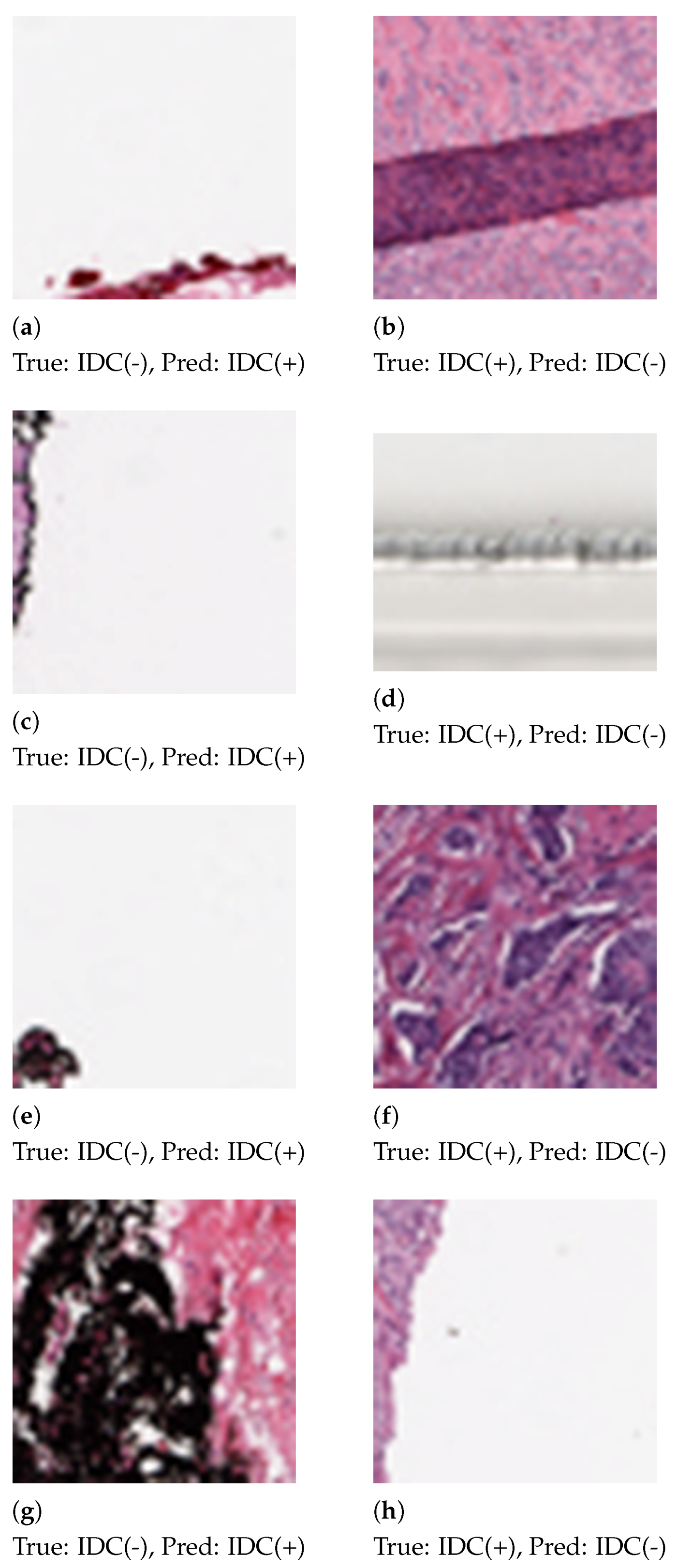 Sensors 21 03628 g006