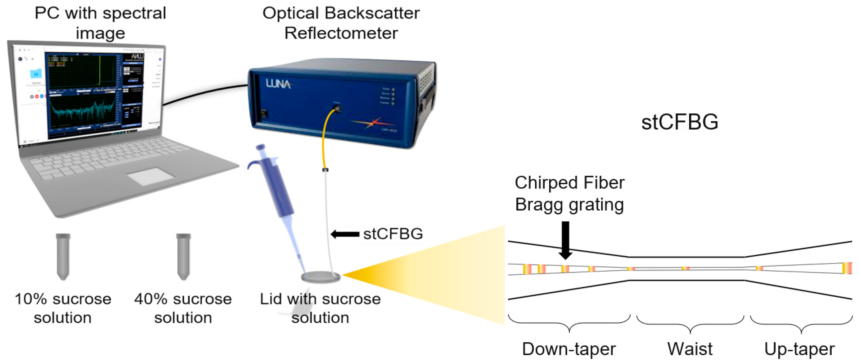 Sensors 21 03635 g001