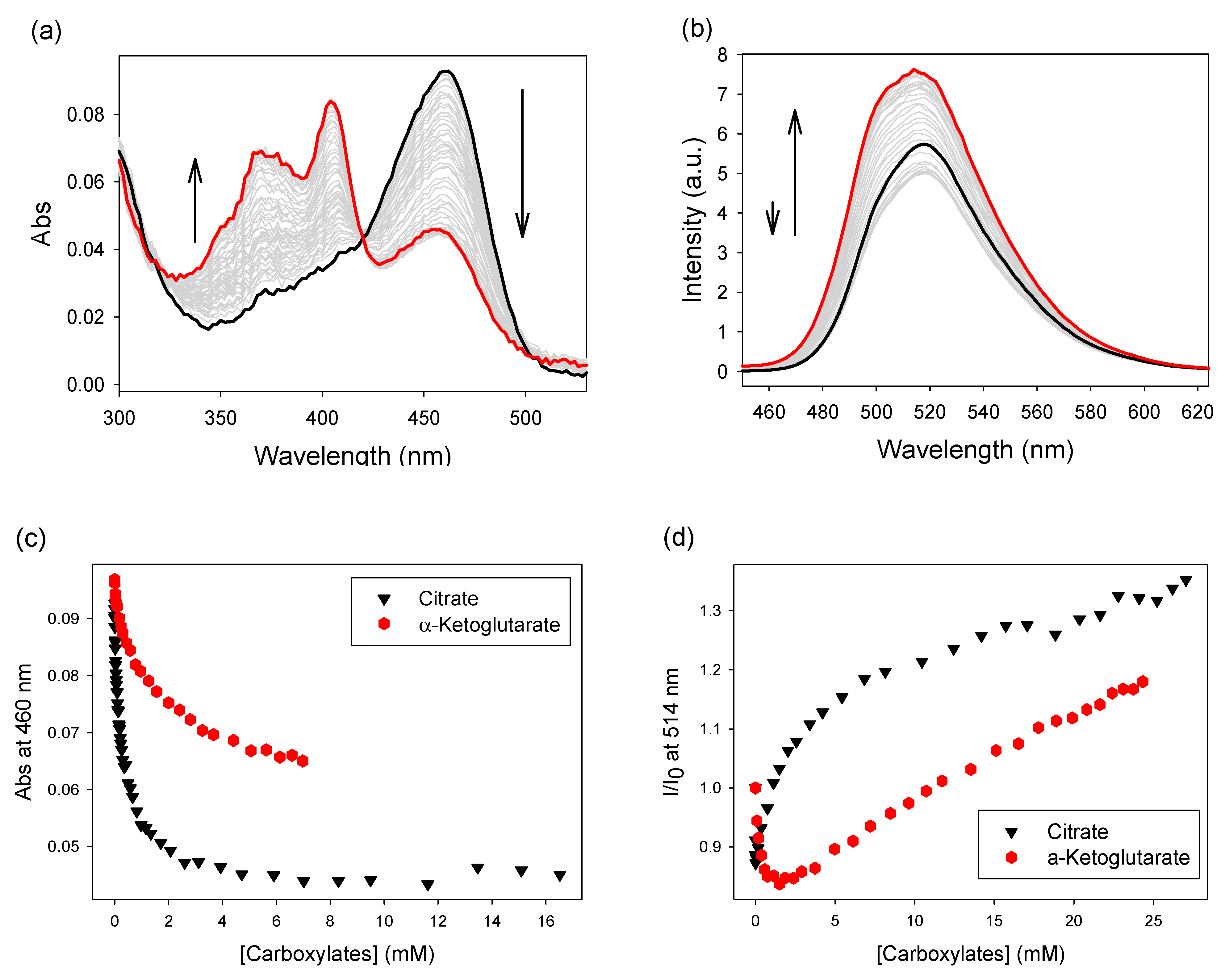 Sensors 21 03637 g005