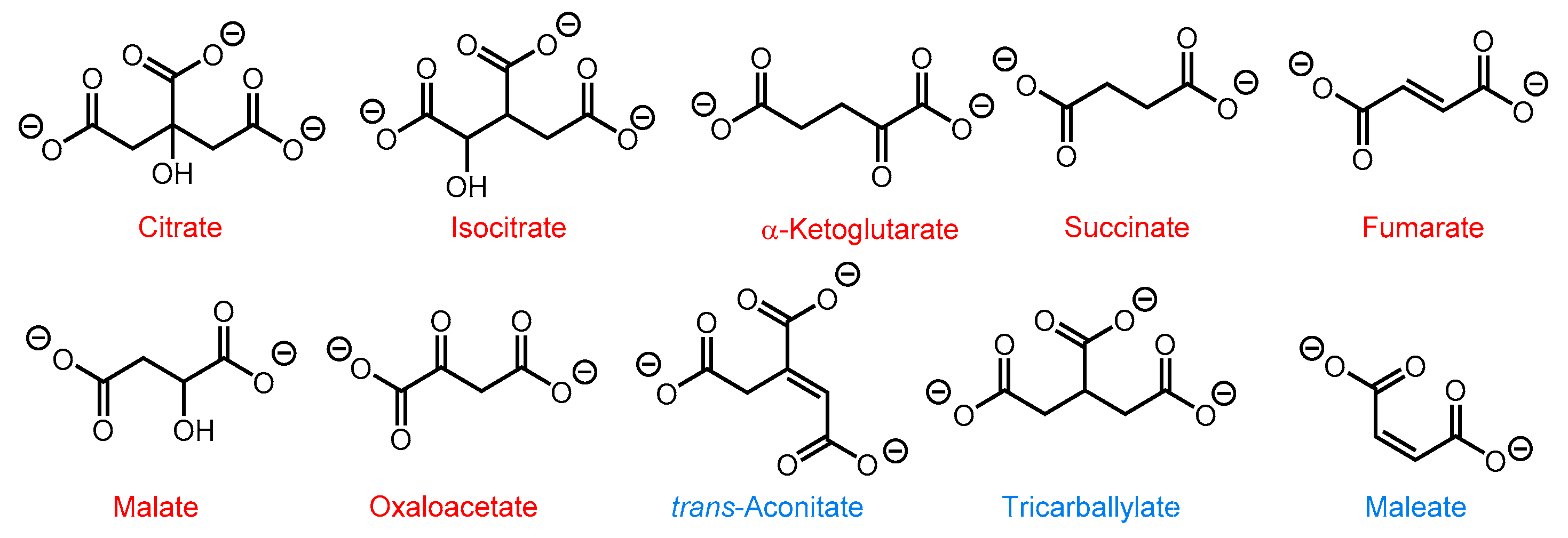 Sensors 21 03637 sch001