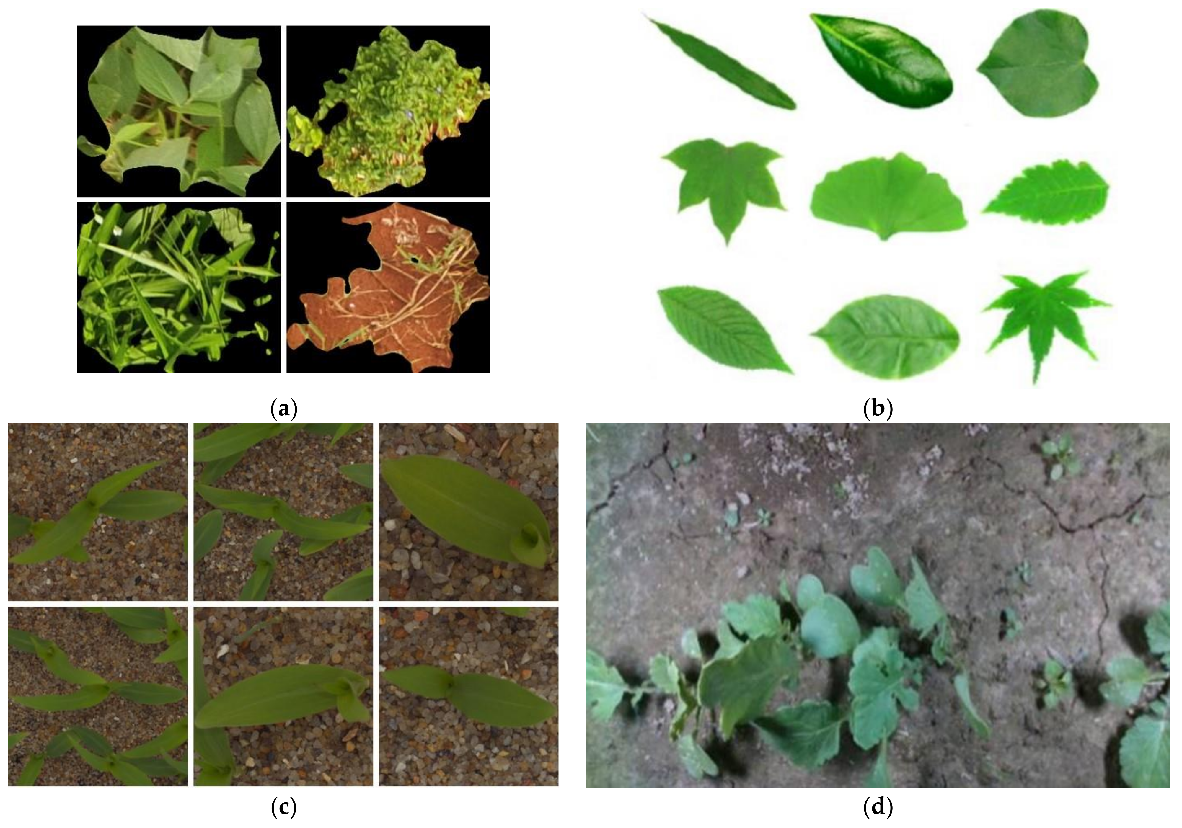 Sensors 21 03647 g001