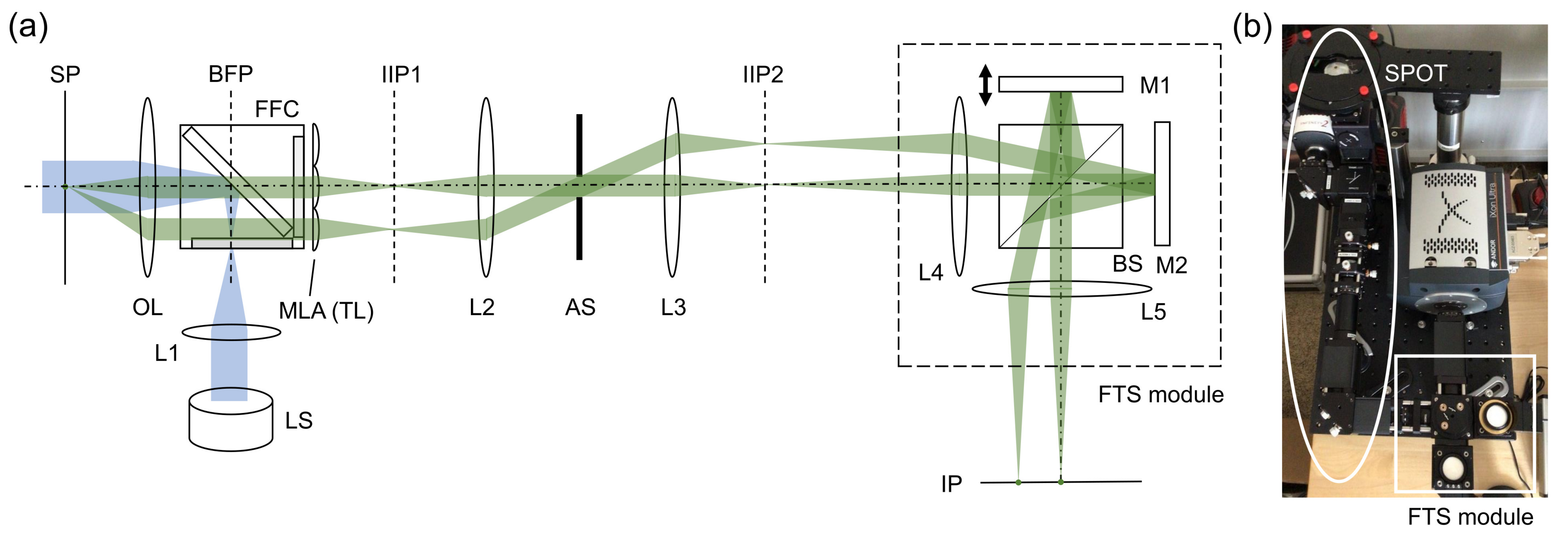 Sensors 21 03652 g001