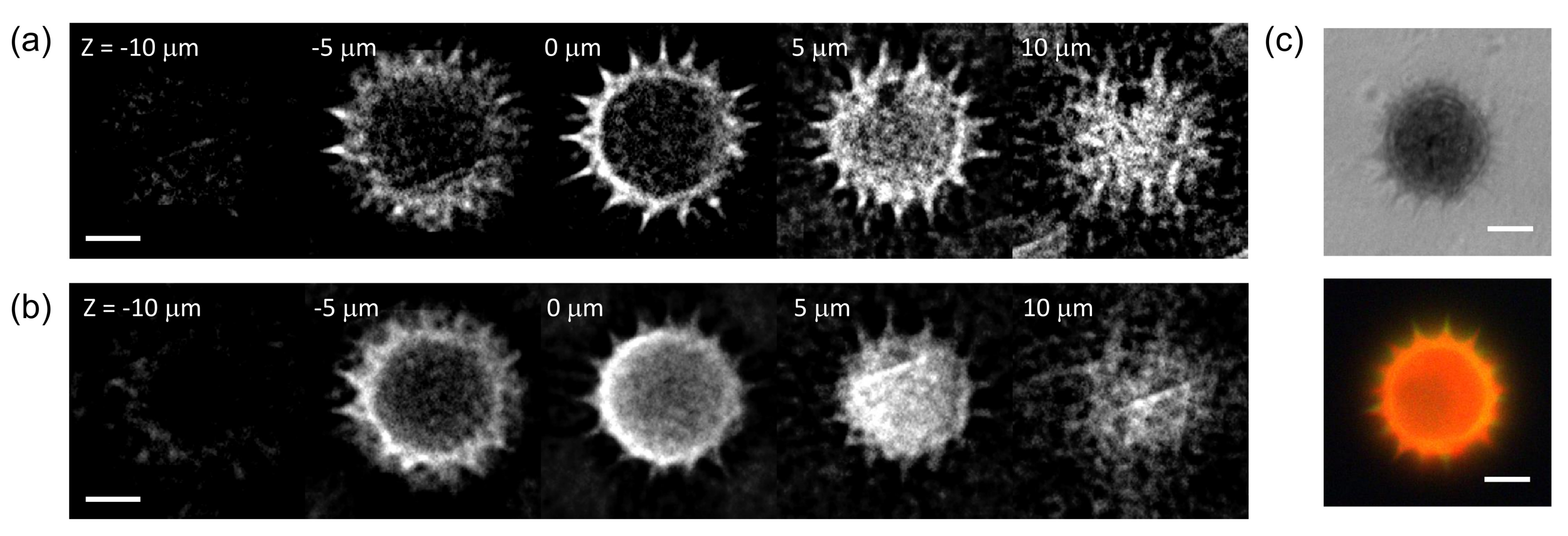 Sensors 21 03652 g005