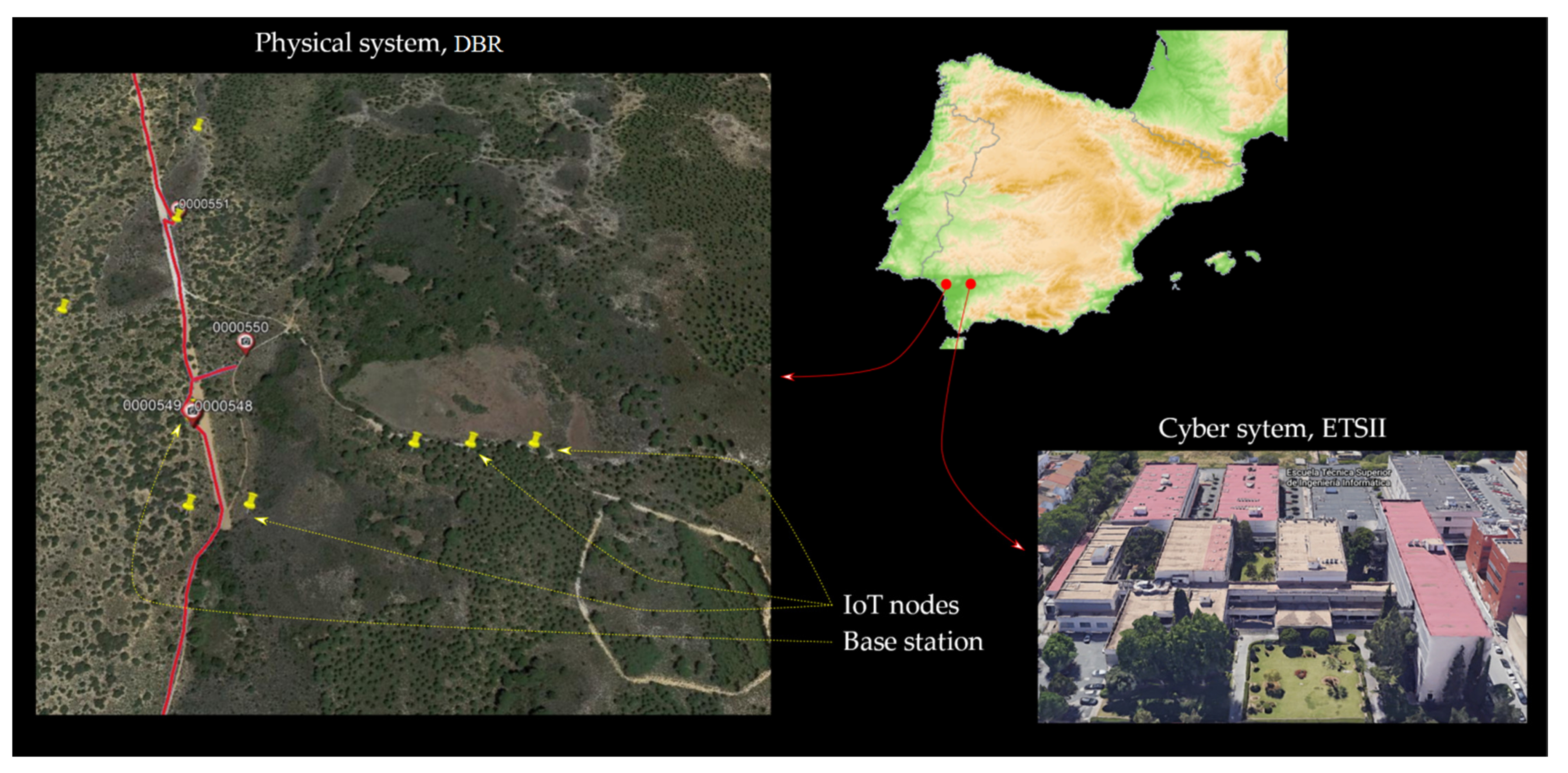 Sensors 21 03655 g008