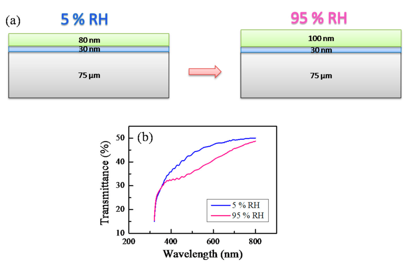 Sensors 21 03674 g007 Sensors 21 03674 g007
