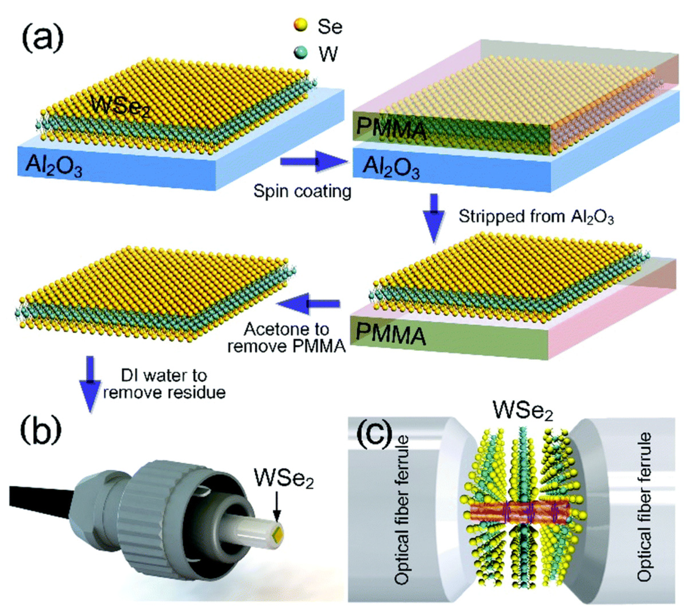 Sensors 21 03676 g003