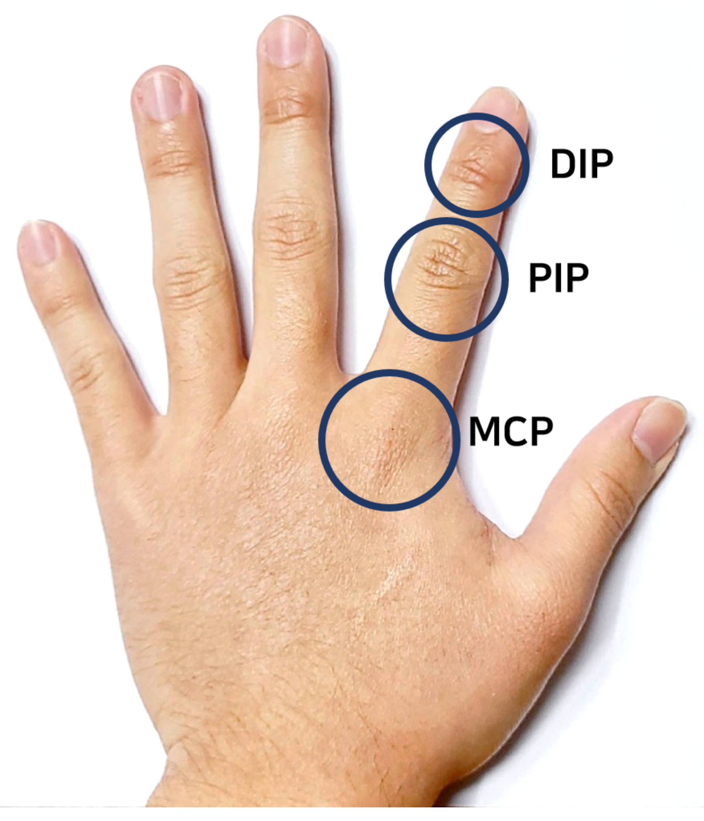 Sensors 21 03682 g001