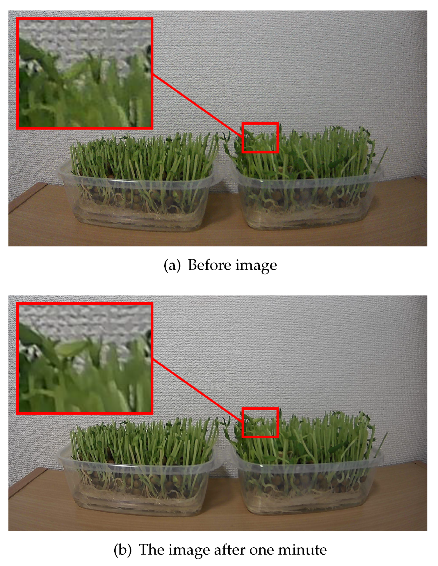 Sensors 21 03698 g010