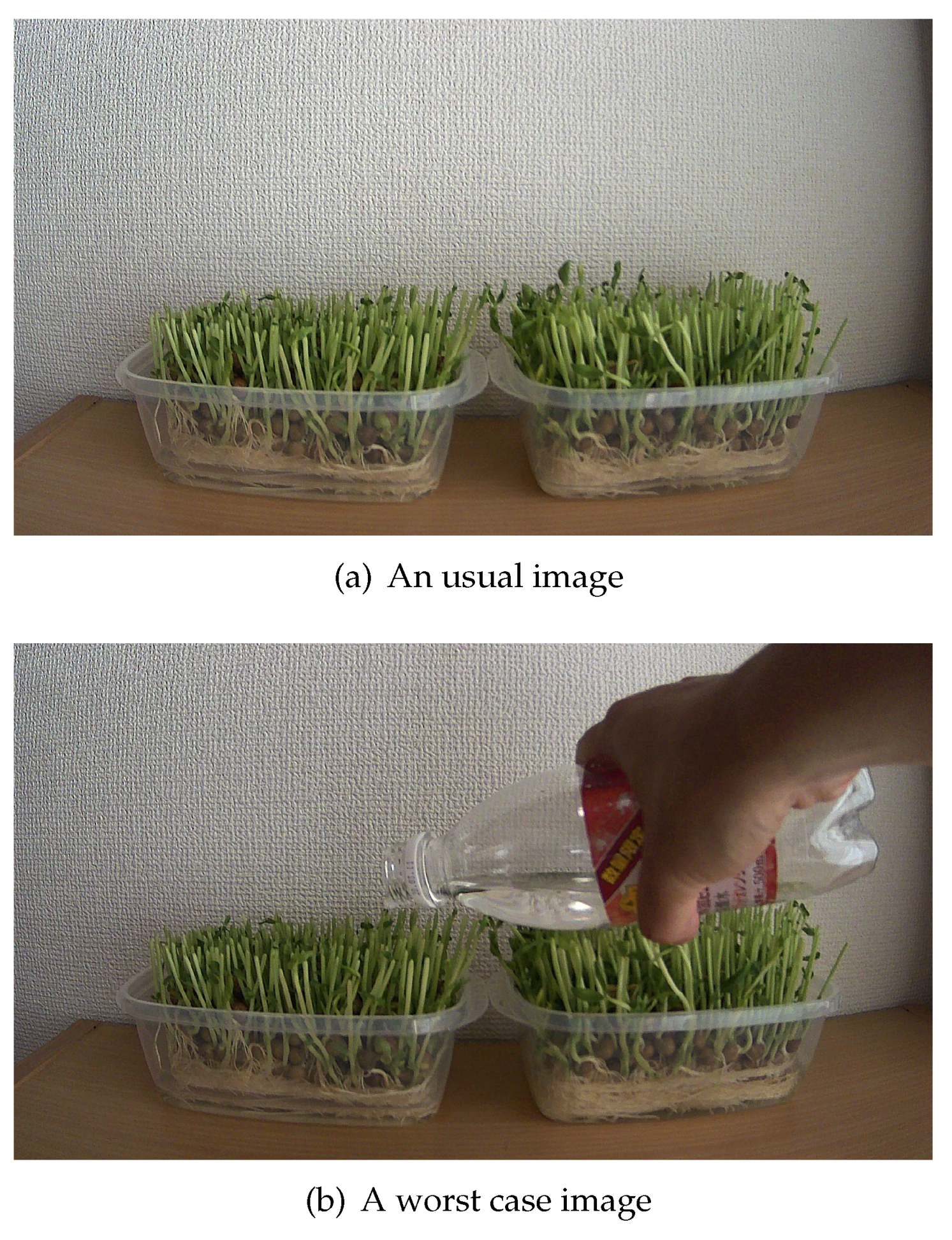 Sensors 21 03698 g011