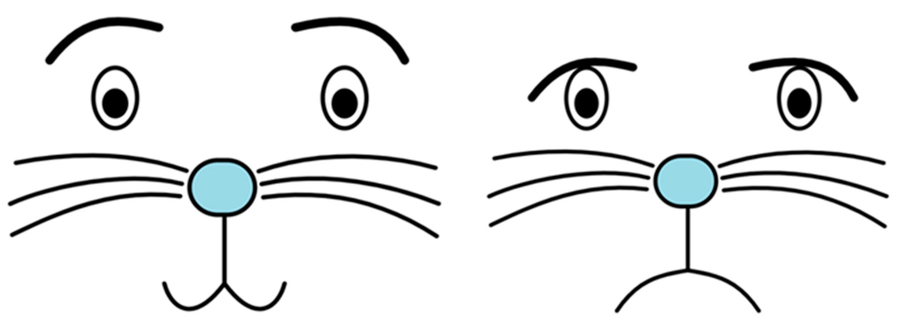 Sensors 21 03720 g004