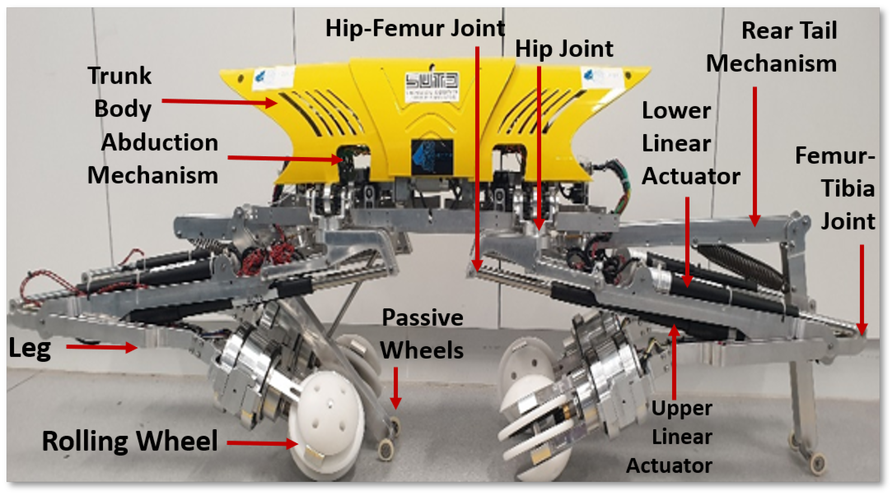 Sensors 21 03744 g002