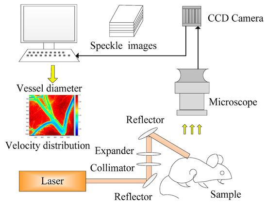Sensors 21 03745 g001
