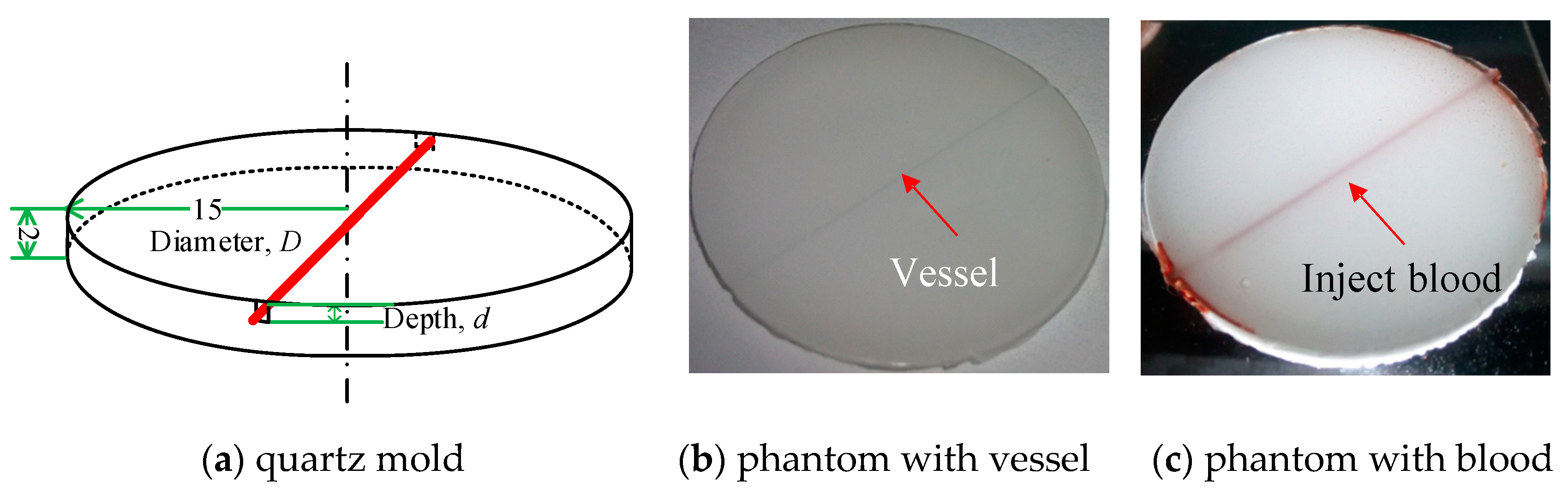 Sensors 21 03745 g003