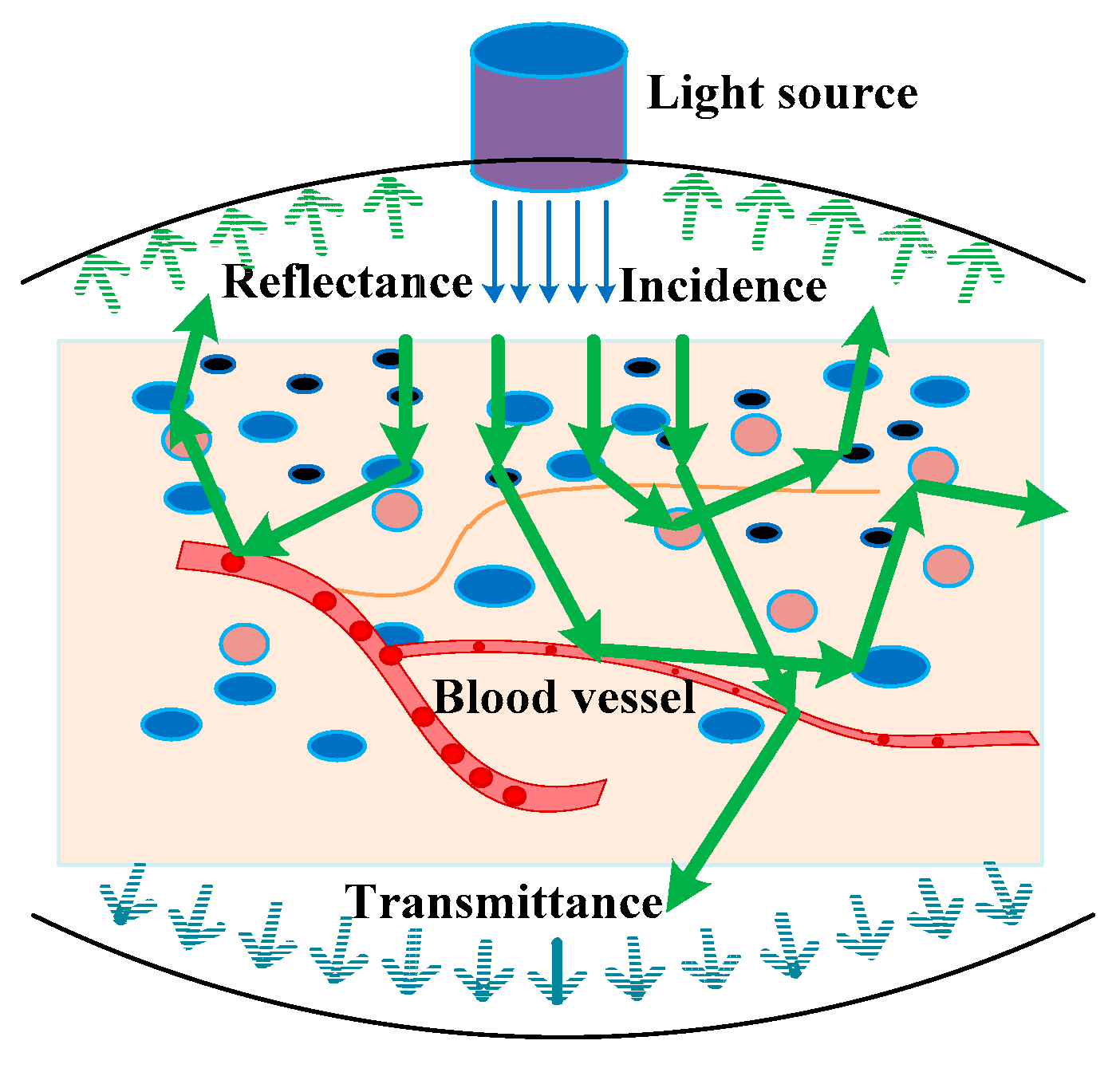 Sensors 21 03745 g005