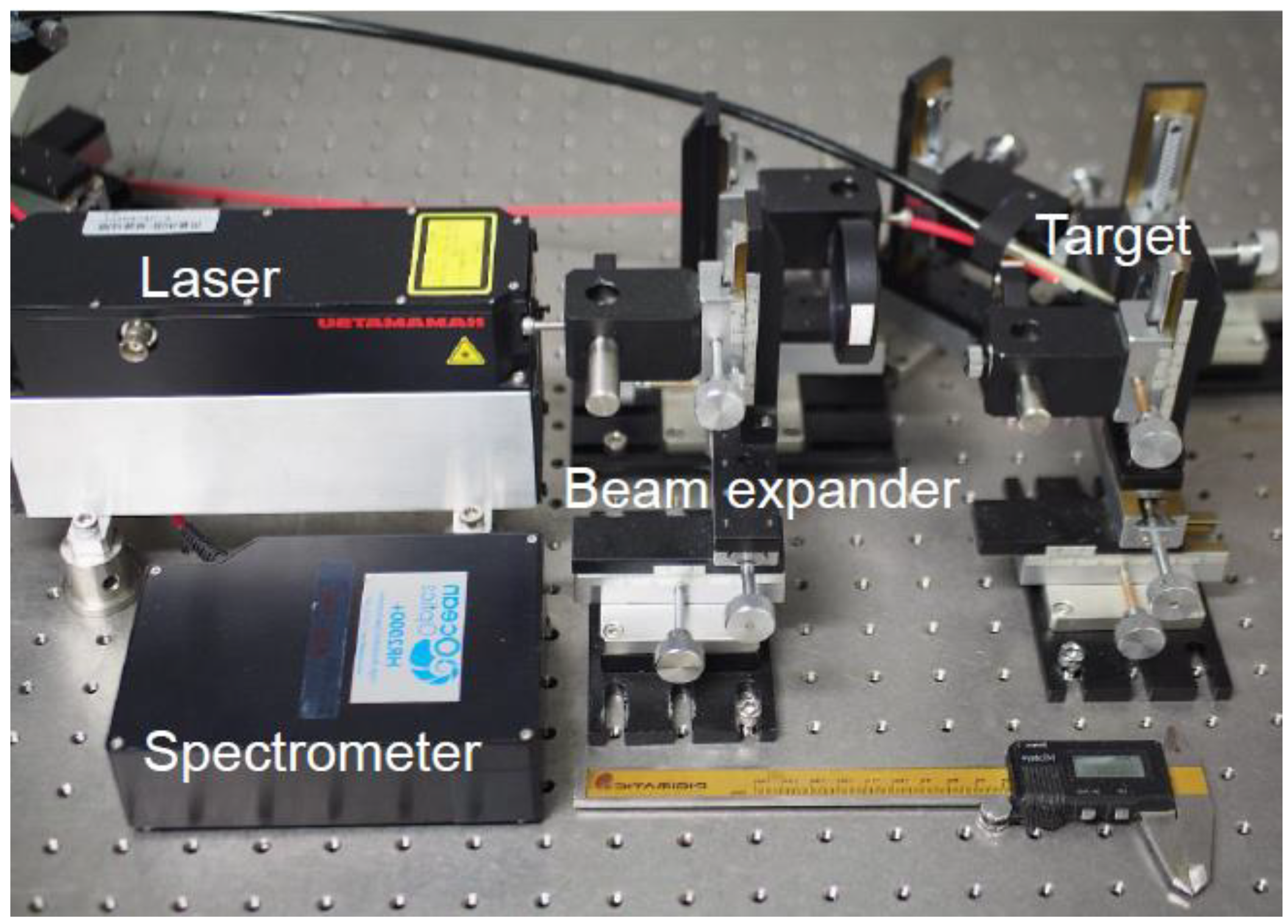 Sensors 21 03752 g001