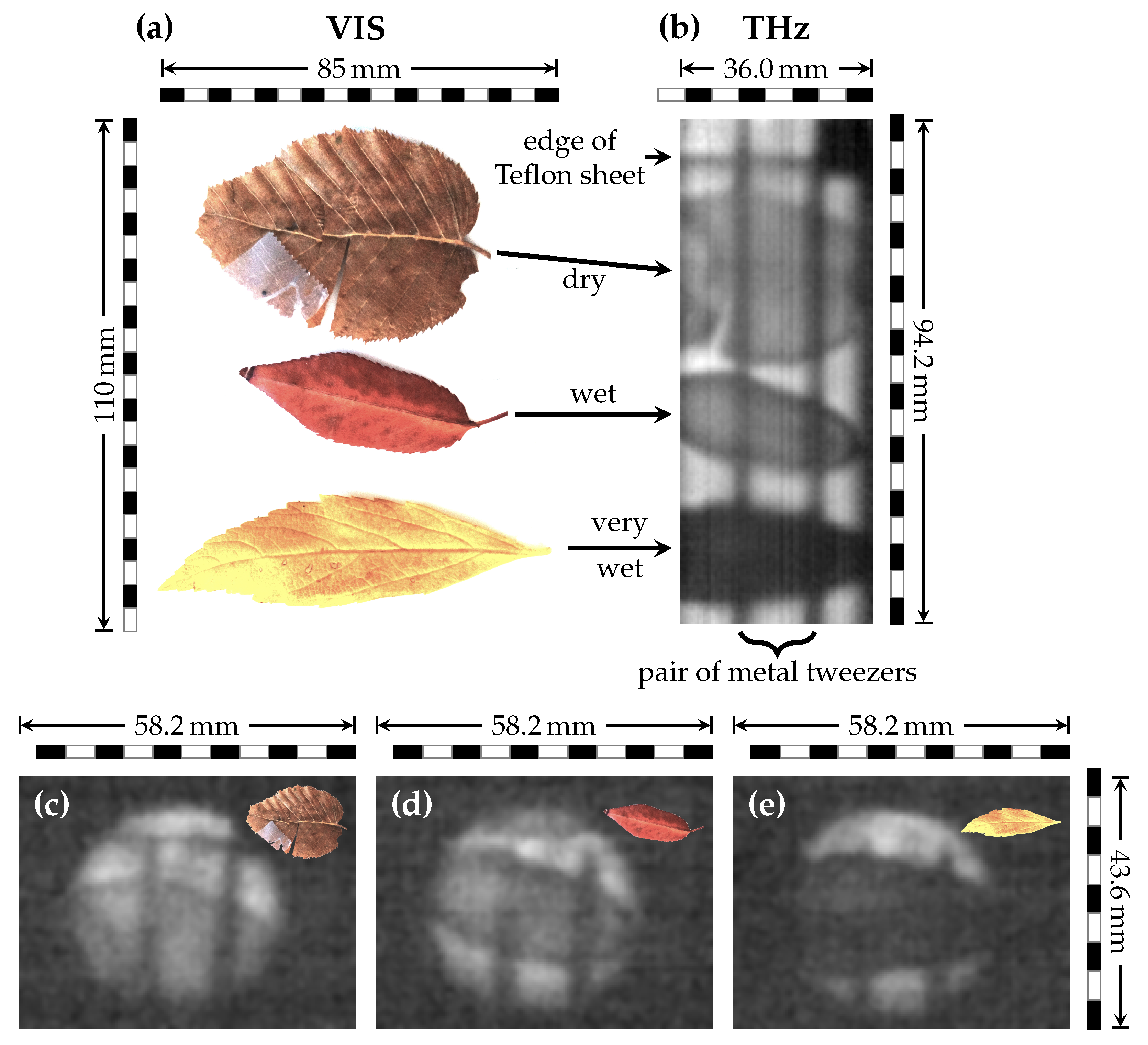 Sensors 21 03757 g006