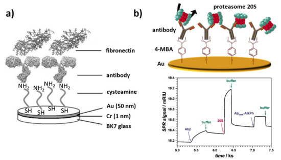 Sensors 21 03781 g003