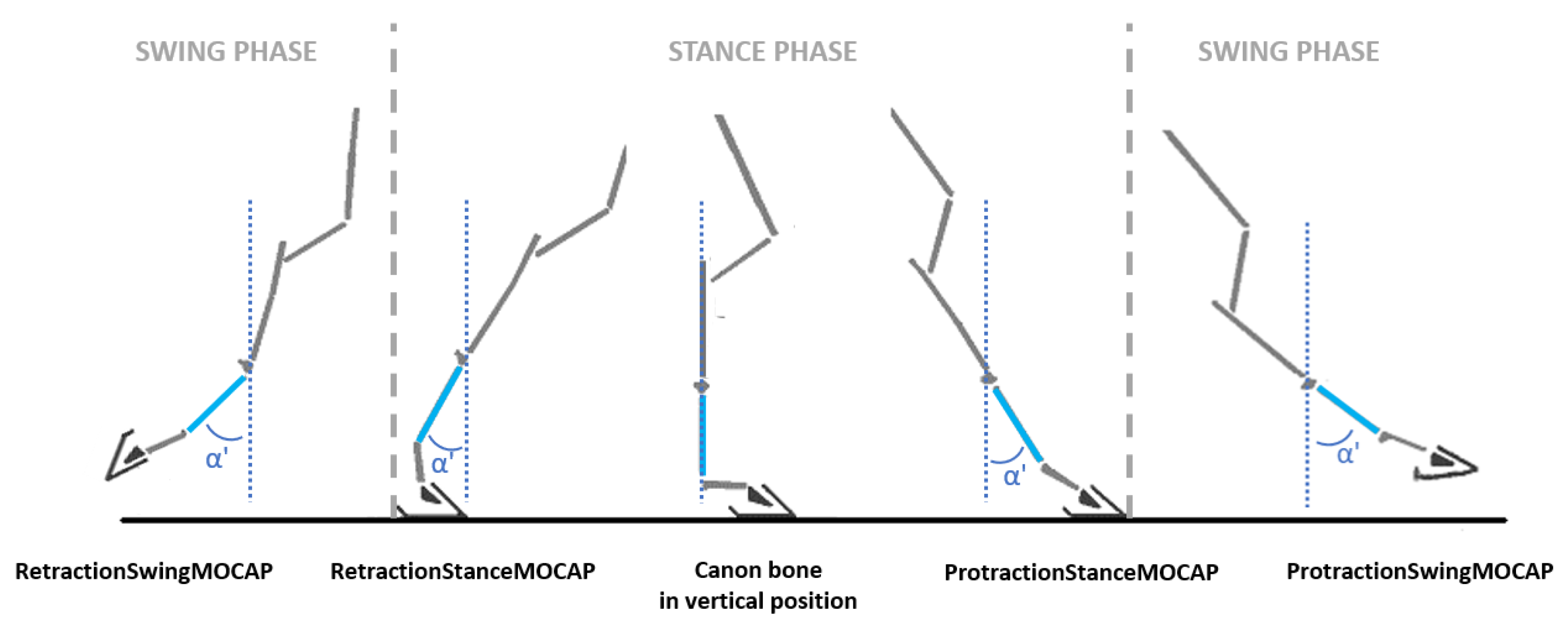 Sensors 21 03792 g003