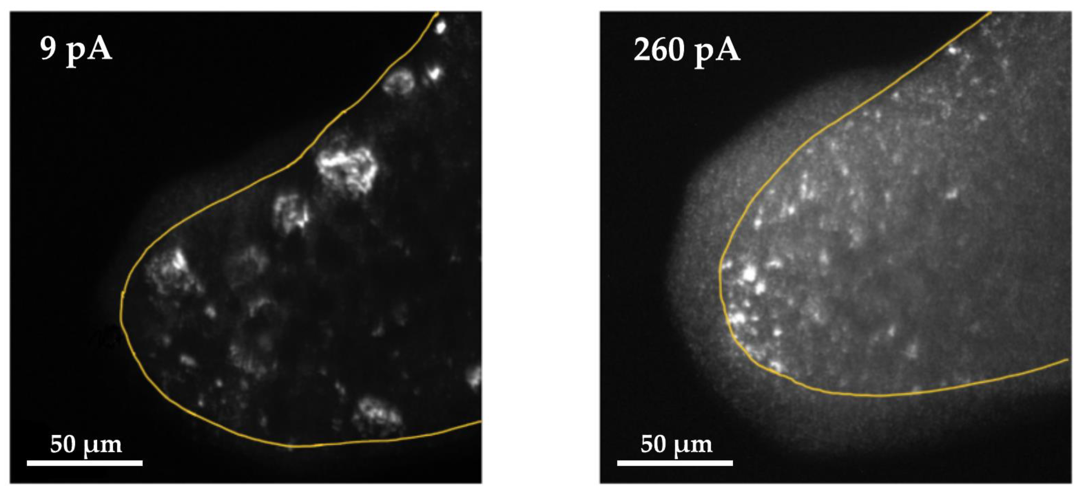 Sensors 21 03795 g010