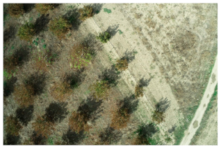 Sensors 21 03813 i001