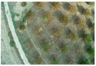 Sensors 21 03813 i002