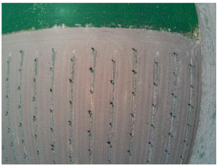 Sensors 21 03813 i003