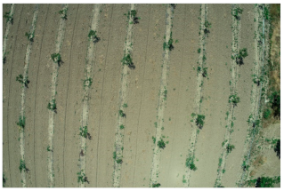 Sensors 21 03813 i004