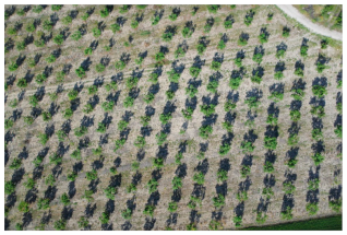 Sensors 21 03813 i005