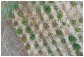 Sensors 21 03813 i006