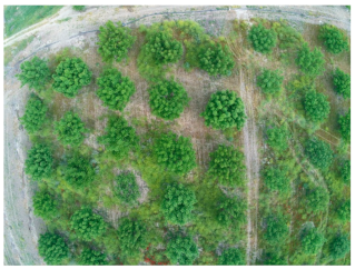 Sensors 21 03813 i007