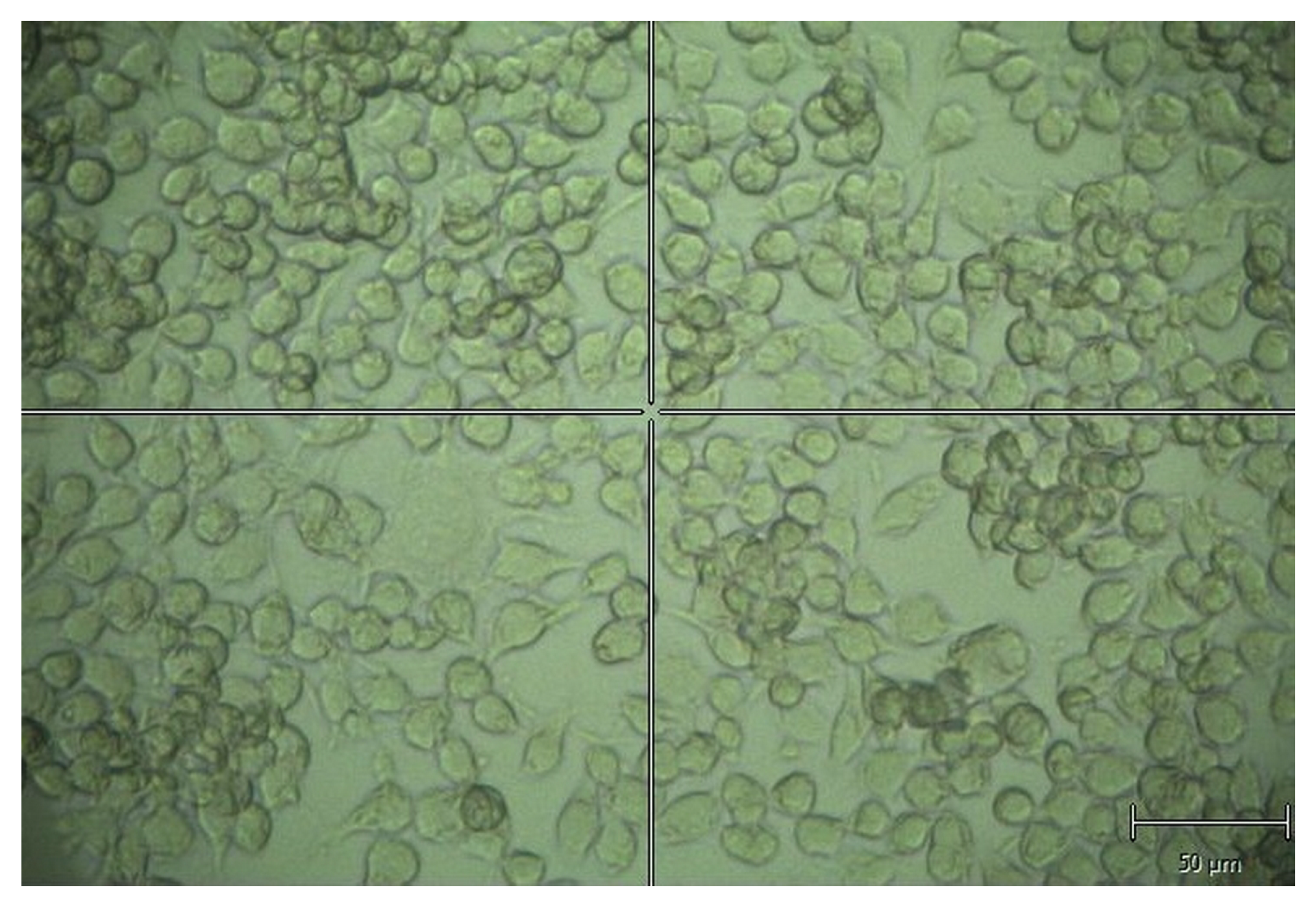 Sensors 21 03825 g001