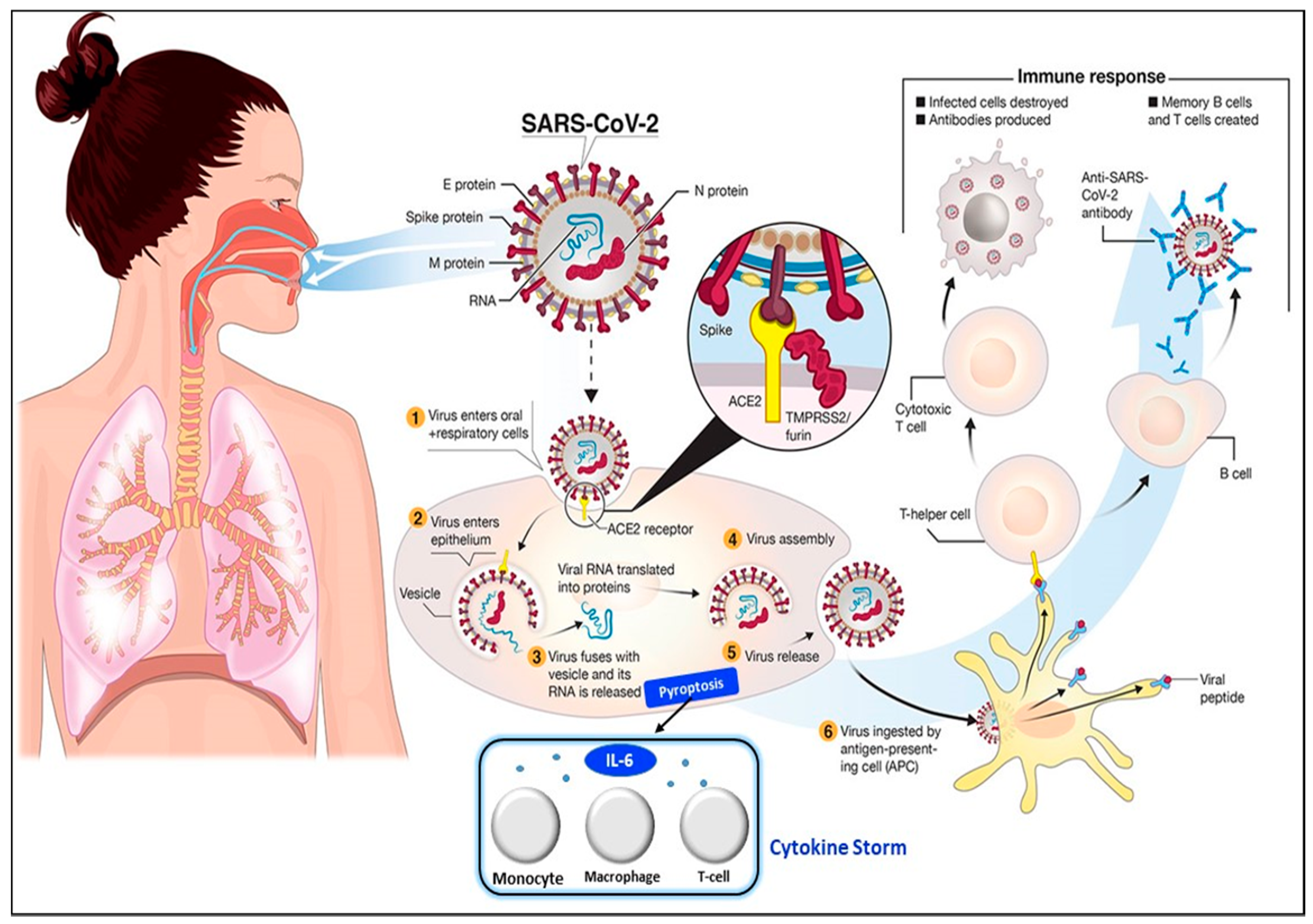 Sensors 21 03829 g002