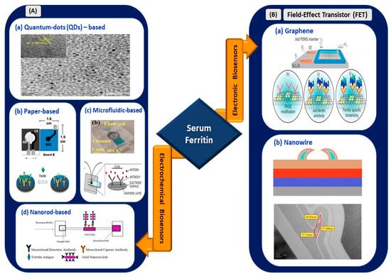 Sensors 21 03829 g005