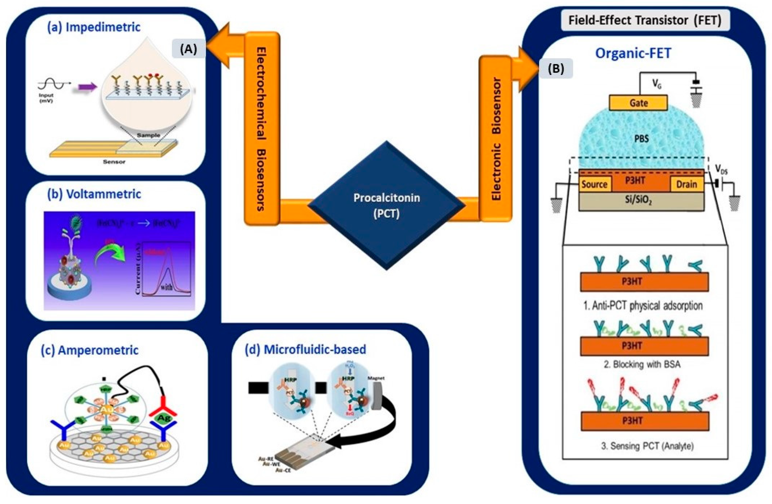 Sensors 21 03829 g006