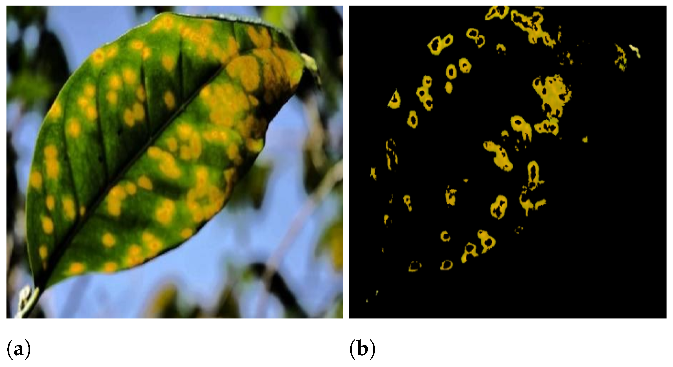Sensors 21 03830 g002 Sensors 21 03830 g002