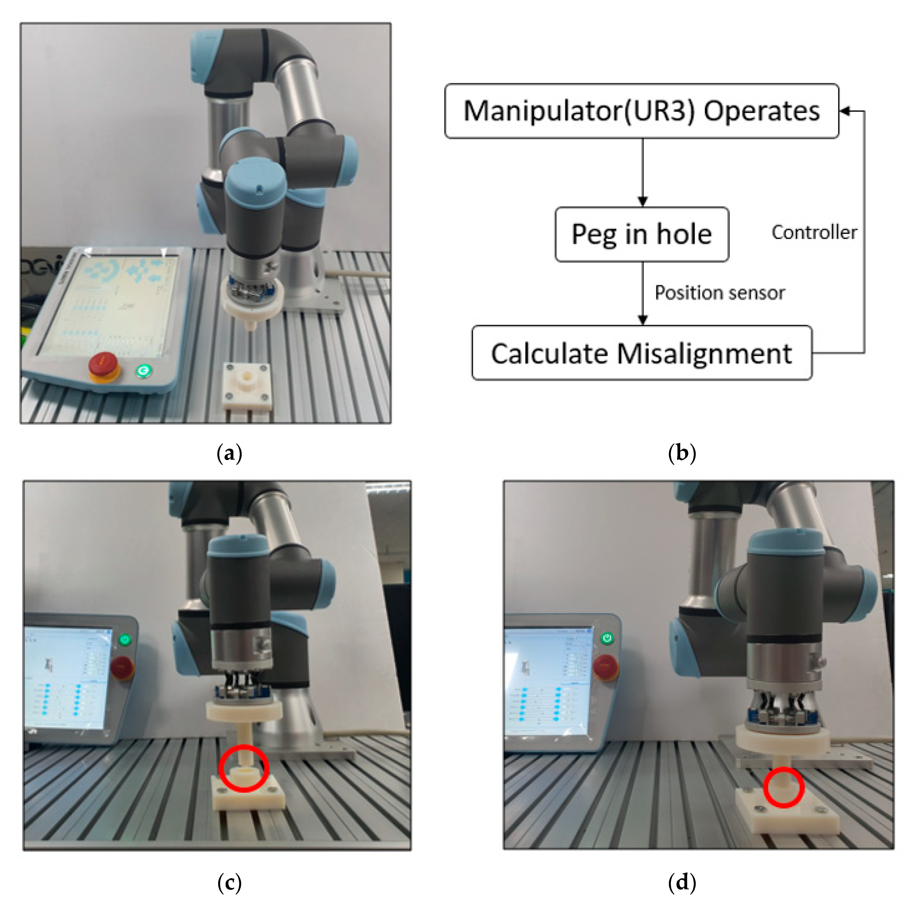 Sensors 21 03832 g011