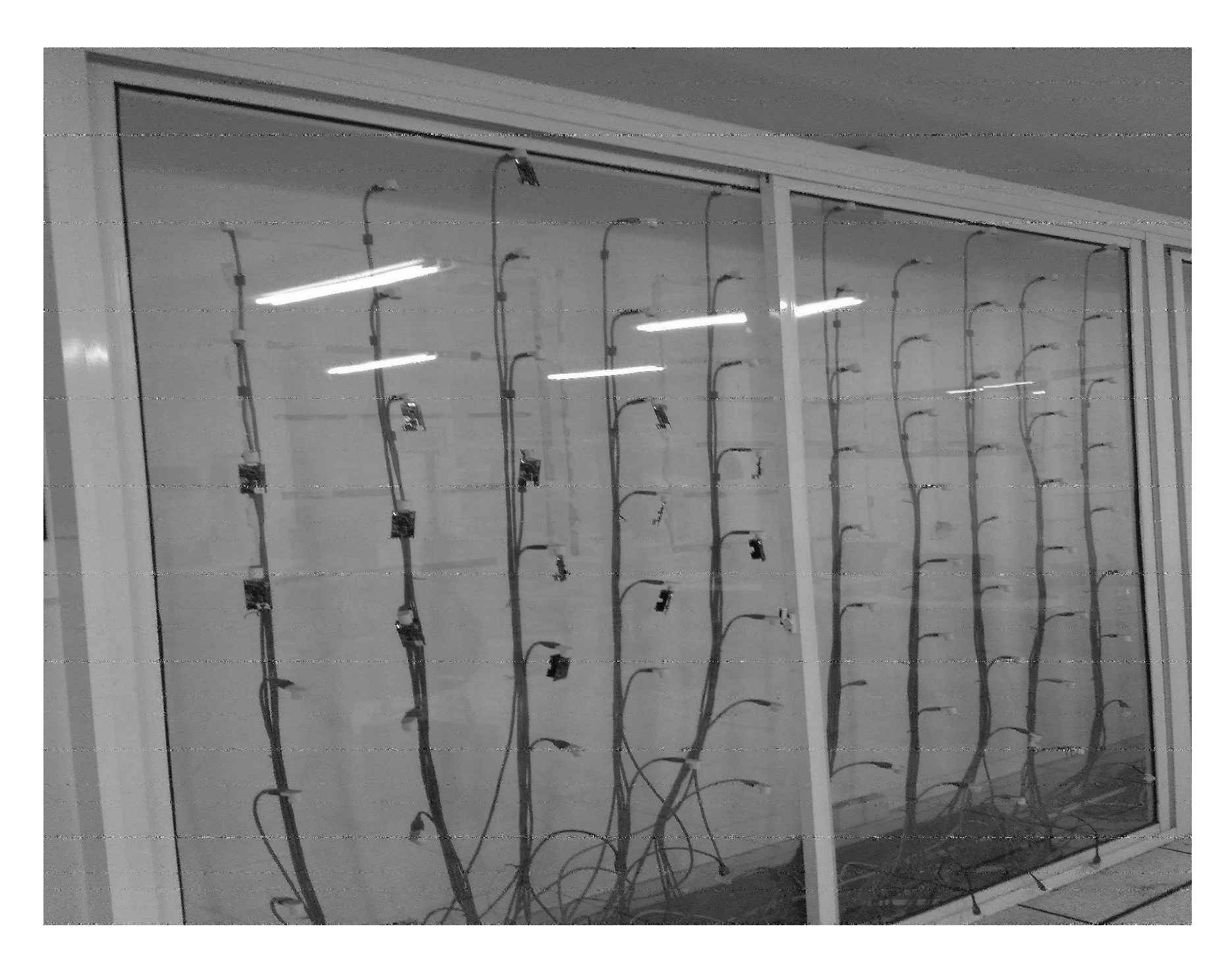 Sensors 21 03840 g011 Sensors 21 03840 g011