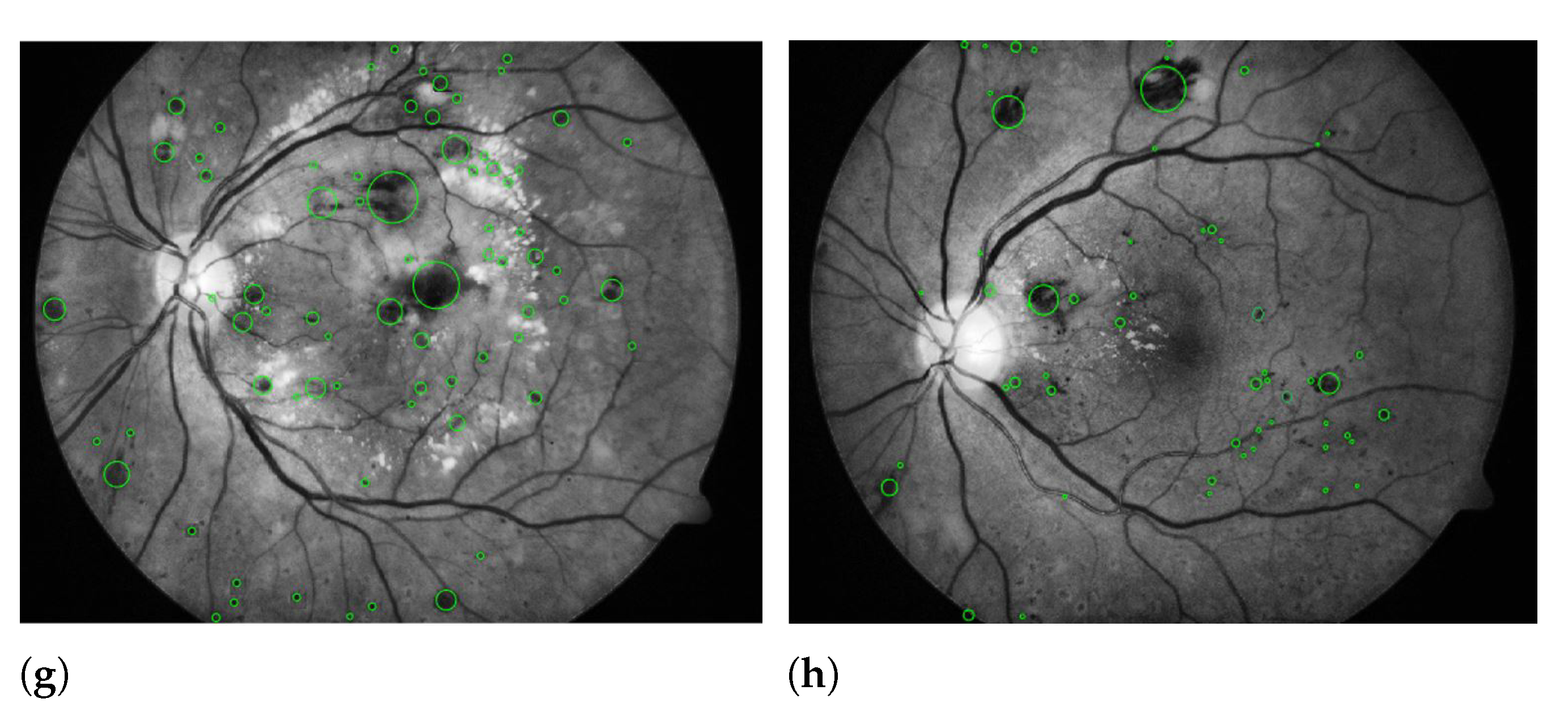 Sensors 21 03865 g006b